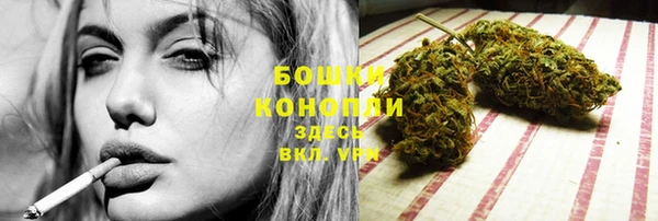 гашик Елизово