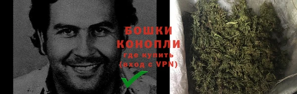 2c-b Ельня