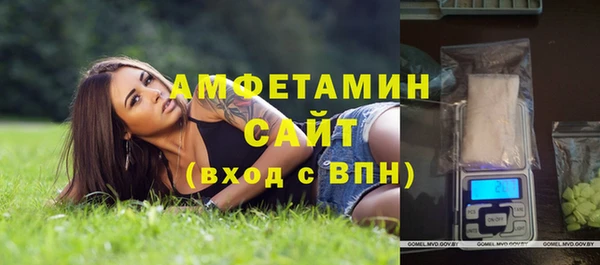 гашик Елизово