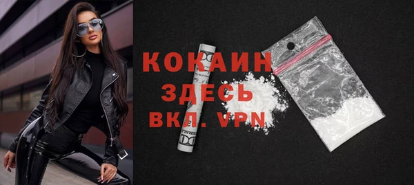 гашик Елизово