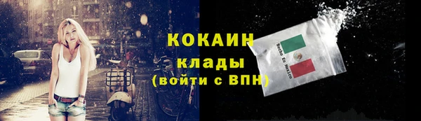 2c-b Ельня