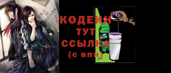 гашик Елизово