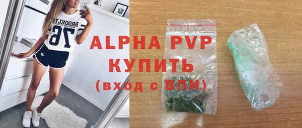 гашик Елизово