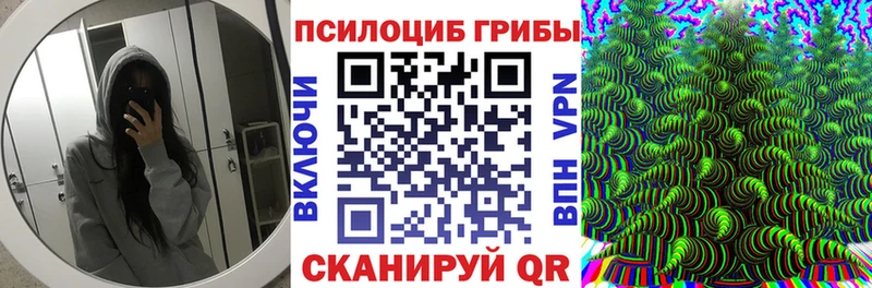 Купить закладки  Трубчевск  Псилоцибиновые грибы прущие грибы 